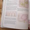 Lovely Little Patchwork - Kerri Horsley - Image 4