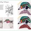 Embroidery Made Easy: Beautiful Birds, Beth Hoyes - Image 5