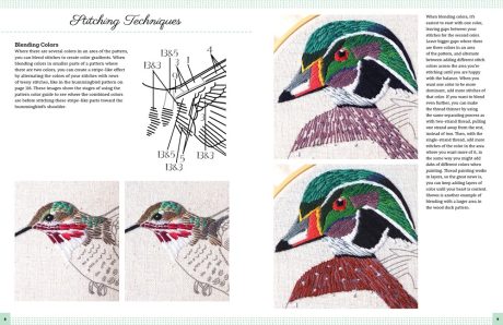 Embroidery Made Easy: Beautiful Birds, Beth Hoyes - Image 5