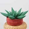 S9772OS Decorative Succulent and Cactus Plush Pillows by Carla Reiss Design