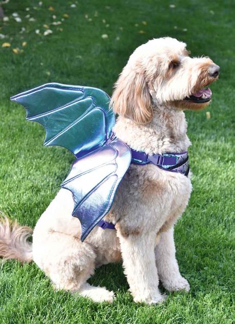 S9875 Dog Harness with Wings by Carla Reiss Design