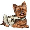 S9970 Dog Coats