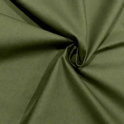 Cotton canvas Ivy (1.2m Remnant)