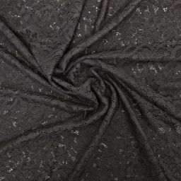 Stretch lace (black)
