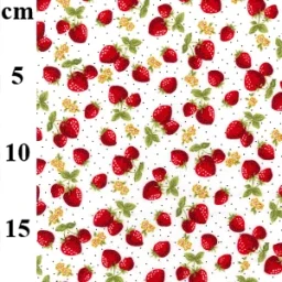 Rose & Hubble 100% cotton poplin “Strawberry Fields"